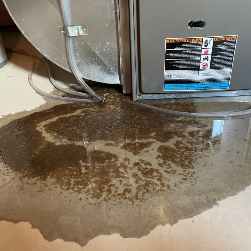 Pipe Burst and Leak Restoration in Mason City, IA