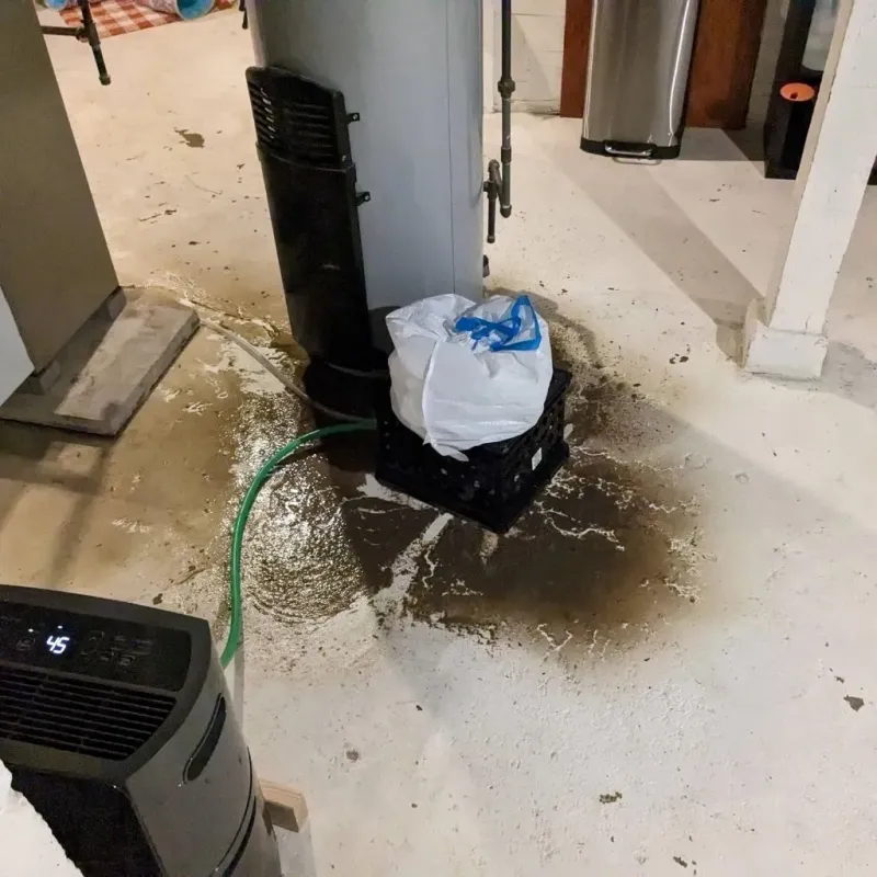 Sewage Backup Cleanup Service in Mason City, IA